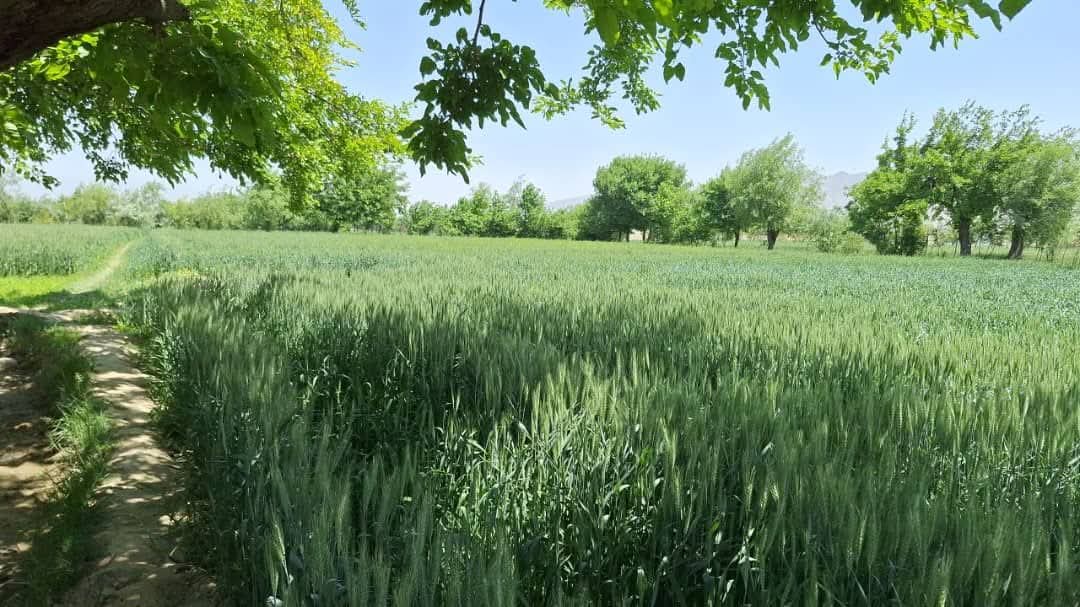 زمین فروشی عاجل